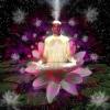 Yogi Sharanananda Unfolding like a Lotus
